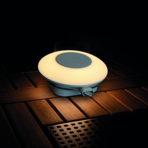 Disc